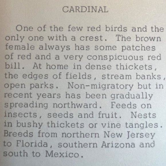 Vtg GREETING CARDS "Winged Beauties" Watercolor Birds Embossed Full Set Ephemera - Picture 13 of 15